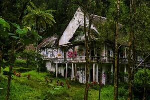 a abandonado casa dentro a meio do a floresta este parece uma pequeno assustador foto