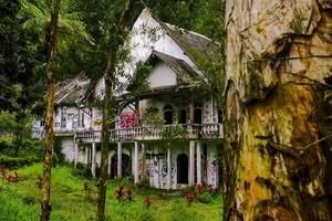 a abandonado casa dentro a meio do a floresta este parece uma pequeno assustador foto