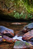 grandes exposição foto do cascata cai, macquarie passar nsw Austrália