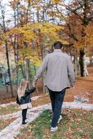 pequeno menina anda em ao longo uma pavimentou caminho dentro a outono floresta, segurando dela Papai mão. costas Visão foto