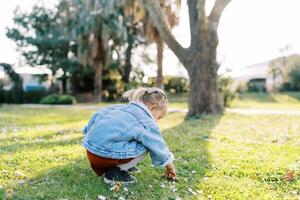 pequeno menina agachamentos em uma verde Prado e picaretas a terra com dela dedos. costas Visão foto