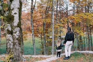 mãe e pequeno menina estão em pé segurando mãos, olhando às a outono floresta. costas Visão foto