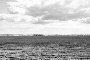 fotografia sobre o tema grande campo de fazenda vazio para colheita orgânica foto