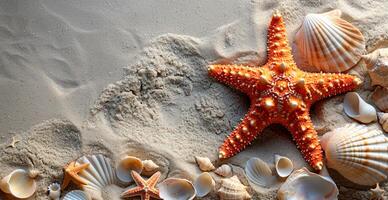 ai gerado mar, oceano paisagem, muitos diferente cartuchos, estrelas do mar e oceano habitantes - ai gerado imagem foto