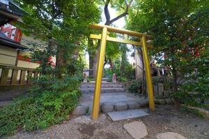 uma tradicional portão às japonês santuário foto