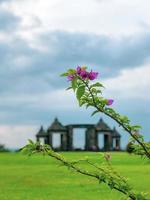 flores com fundo de ratu boko gate yogyakarta indonésia foto