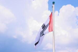 bandeira do constância cidade, Alemanha, Baden-Württemberg. vôo dentro a vento sedoso tecido bandeira do Konstanz em a mastro. isolado em azul nublado céu fundo. Visão a partir de a Turística barco. cópia de espaço foto