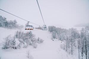 colorida teleférico em uma coberto de neve montanha acima uma conífero floresta foto