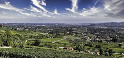 paisagens do langhe piemontês durante a colheita, com as cores vivas do outono foto