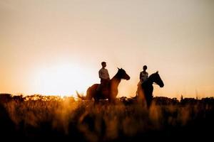 uma garota com um vestido de verão branco e um cara com uma camisa branca em uma caminhada com cavalos marrons foto