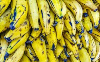 banana da terra banana fruta frutas em a mercado dentro México. foto