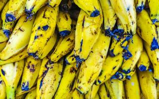 banana da terra banana fruta frutas em a mercado dentro México. foto