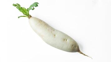 orgânico branco daikon rabanete em branco fundo foto