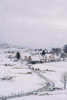 vacas andar ao longo a estrada dentro uma Nevado Vila dentro uma montanha vale. costas Visão foto