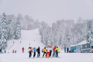 instrutores breve uma grupo do esquiadores antes escalada a montanha foto