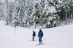 esquiadores dentro esqui ternos passeio ao longo uma Nevado declive ao longo a floresta foto