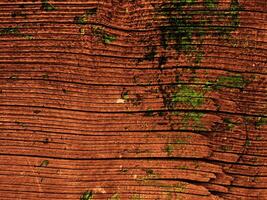 textura de madeira marrom escura foto