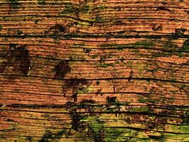 textura de madeira marrom escura foto