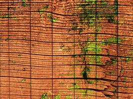 textura de madeira marrom escura foto