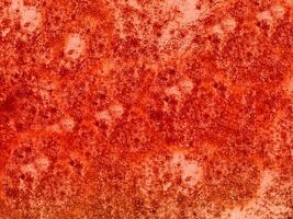 textura de pedra vermelha no jardim foto