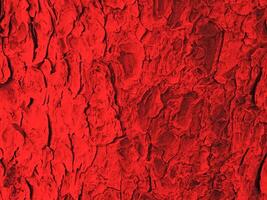 textura de madeira vermelha foto