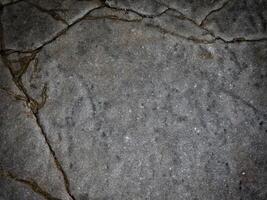 textura de pedra escura no jardim foto