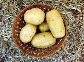 batatas dentro a cozinha foto