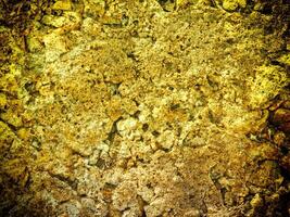 textura do amarelo pedra dentro a jardim foto