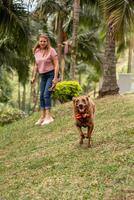 alegre cachorro traços para a Câmera dentro a parque com dela proprietário. foto