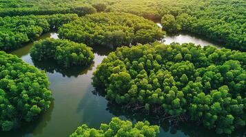 ai gerado terra dia - aéreo topo Visão do mangue floresta. ambiente dia conceito com árvores e água corrente rio. zangão Visão verde fundo para carbono neutralidade e zero emissão foto