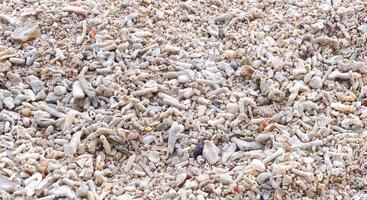 fundo do mar cartuchos e areia em a de praia. fechar acima. foto