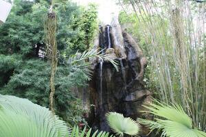 cascata característica dentro a interior pátio jardim. foto