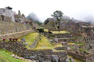 Machu picchu, Peru, 2015 - turista explorando inca ruínas sul América foto