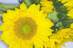 amarelo girassol ramalhete deitado em mesa pano foto