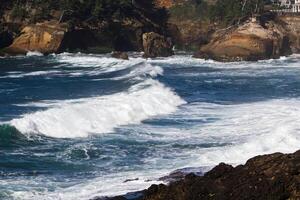 oceano inchar e surfar com costa e árvores foto