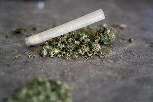 puro legal seco maconha ganja maconha articulação detalhe foto