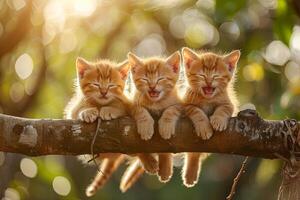 ai gerado gatinho gato bebê grupo do animais suspensão Fora em uma filial, bonitinho, sorridente, adorável foto