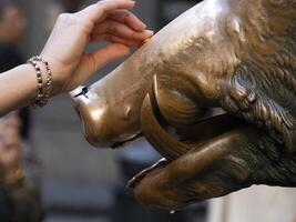 detalhe do mão tocante Boa sorte cobre porco estátua dentro Florença rito do fortuna você ter para esfregar uma moeda em a nariz do selvagem javali e então solta isto para dentro a bueiro cobrir do a porcelana fonte foto