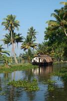 casa flutuante em Kerala remansos, Índia foto