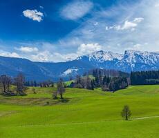 alemão idílico pastoral campo dentro Primavera com Alpes dentro backg foto