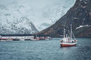 navio dentro hamnoy pescaria Vila em lofoten ilhas, Noruega foto