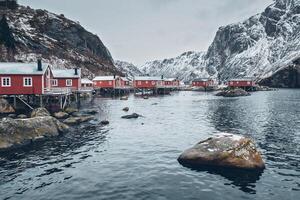 Nusfjord pescaria Vila dentro Noruega foto