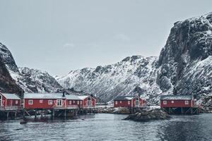 Nusfjord pescaria Vila dentro Noruega foto