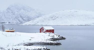 vermelho rorbu casa dentro inverno, lofoten ilhas, Noruega foto