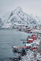reinar pescaria Vila, Noruega foto