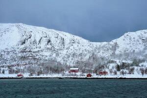 rd rorbu casas dentro Noruega dentro inverno foto