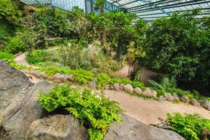 a frio casa estufa fria é uma estufa com jardins, lagoas, plantas e árvores dentro Lisboa, Portugal foto