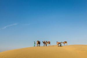 três cameleiros camelo motoristas com camelos dentro dunas do thar deserto. rajastão, Índia foto