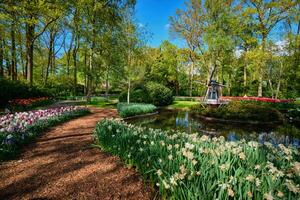 Keukenhof flor jardim. lisse, a Holanda. foto