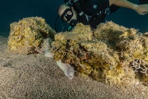 moreia mooray lycodontis undulatus no mar vermelho, eilat israel foto